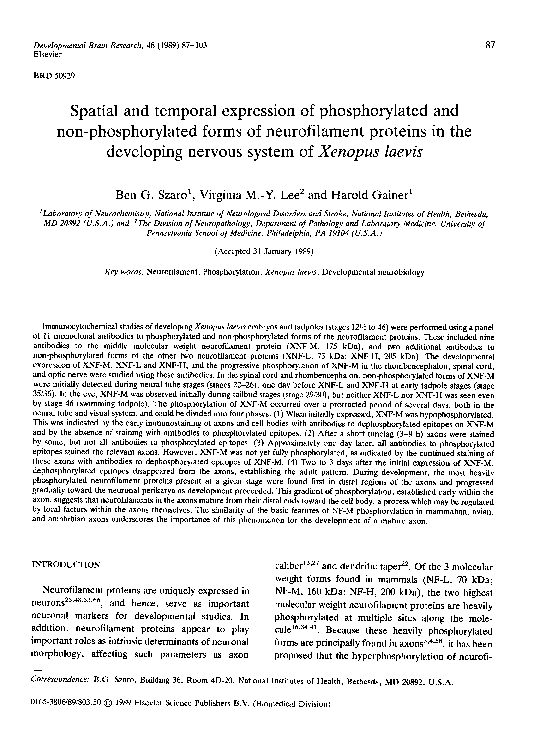 (PDF) Spatial and temporal expression of phosphorylated and non ...