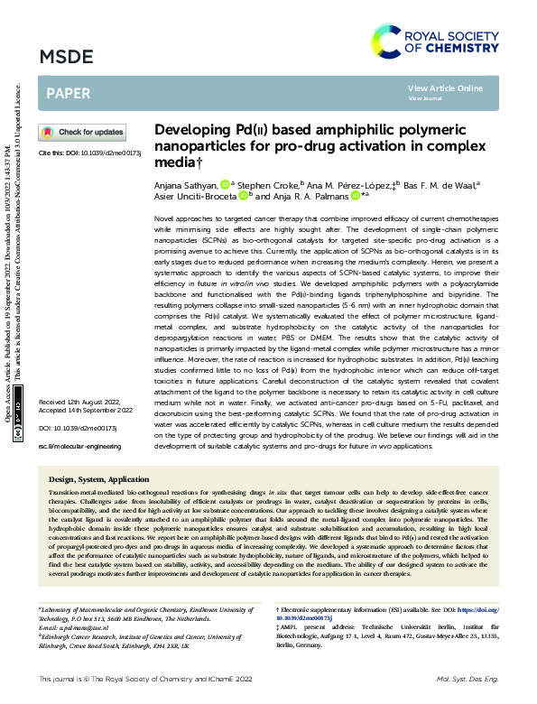 (PDF) Developing Pd(ii) based amphiphilic polymeric nanoparticles for ...
