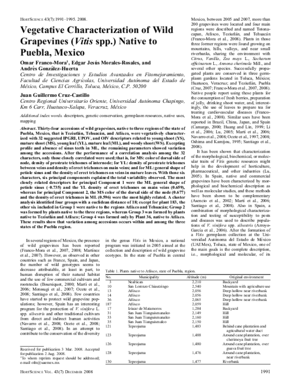 (PDF) Vegetative Characterization of Wild Grapevines (Vitis spp ...