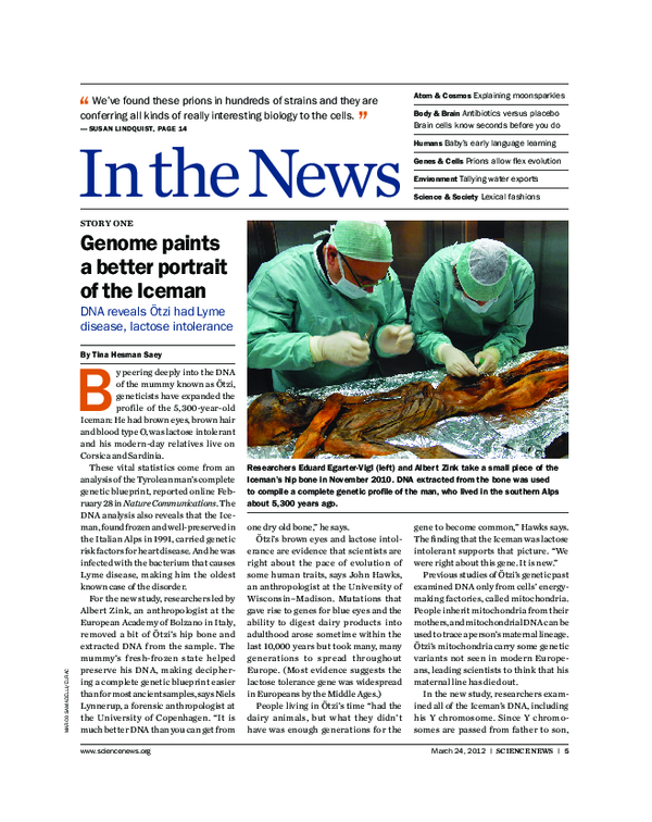 (PDF) Story one Genome paints a better portrait of the Iceman DNA