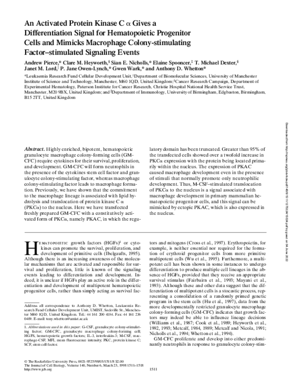 (PDF) An Activated Protein Kinase C α Gives a Differentiation Signal ...