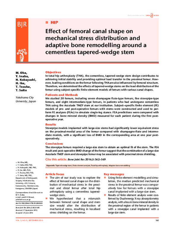 (PDF) Effect of femoral canal shape on mechanical stress distribution ...