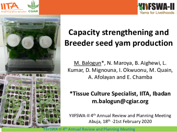 (PDF) Capacity strengthening and breeder seed yam production