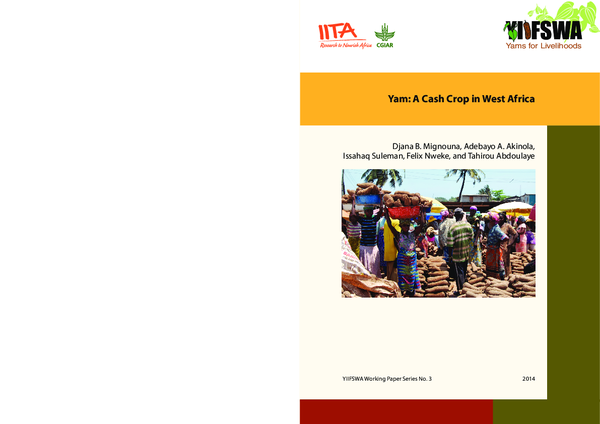 (PDF) Yam: A Cash Crop in West Africa