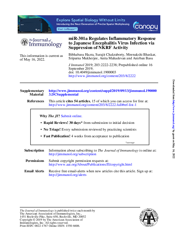 (PDF) miR-301a Regulates Inflammatory Response to Japanese Encephalitis ...
