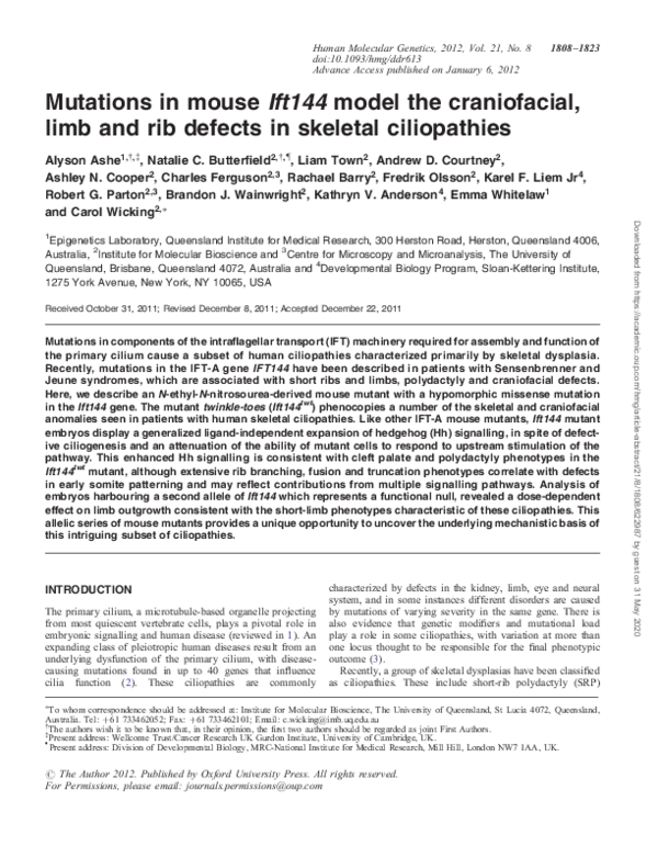 (PDF) Mutations in mouse Ift144 model the craniofacial, limb and rib