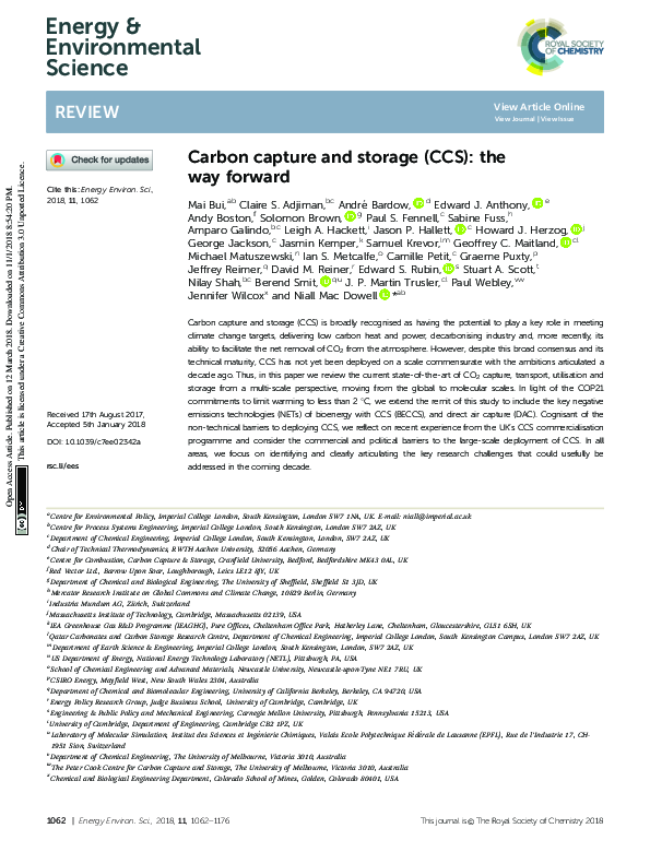 (PDF) Carbon capture and storage (CCS): the way forward