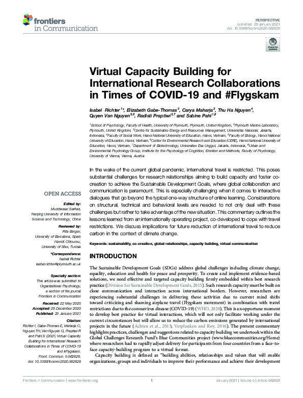 (PDF) Virtual Capacity Building for International Research ...