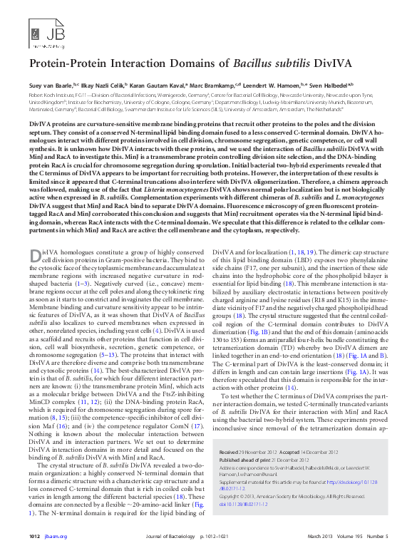 (PDF) Protein-Protein Interaction Domains of Bacillus subtilis DivIVA