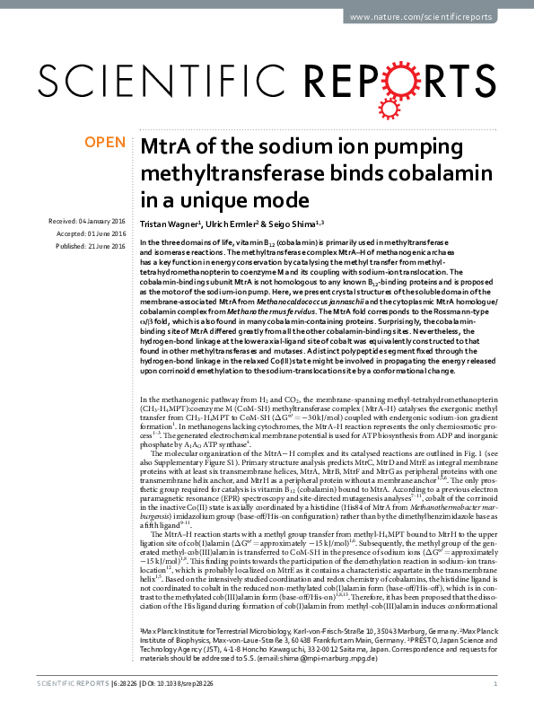 (PDF) MtrA of the sodium ion pumping methyltransferase binds cobalamin ...