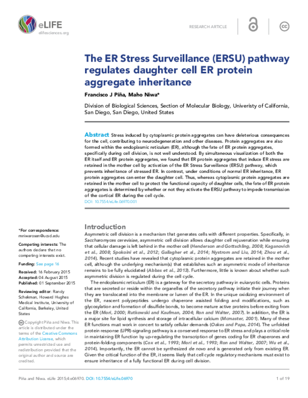 (PDF) The ER Stress Surveillance (ERSU) pathway regulates daughter cell ...