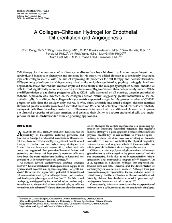 (PDF) A Collagen–Chitosan Hydrogel for Endothelial Differentiation and ...