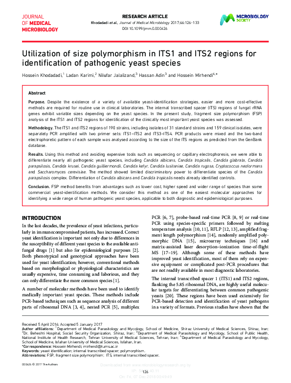 (PDF) Utilization of size polymorphism in ITS1 and ITS2 regions for ...
