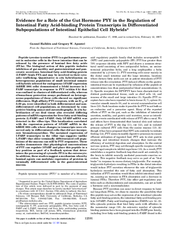 (PDF) Evidence for a Role of the Gut Hormone PYY in the Regulation of ...