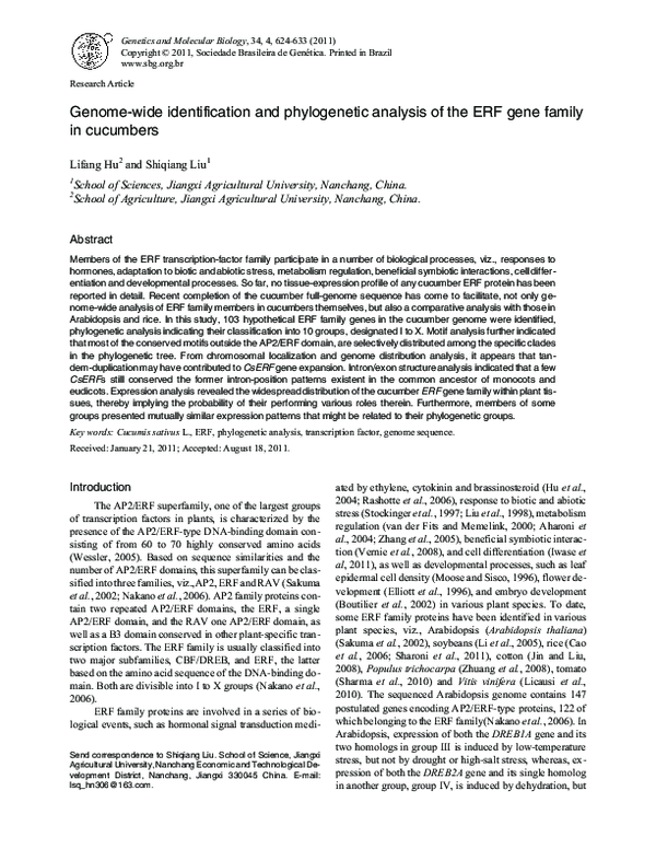 (PDF) Genome-wide identification and phylogenetic analysis of the ERF ...