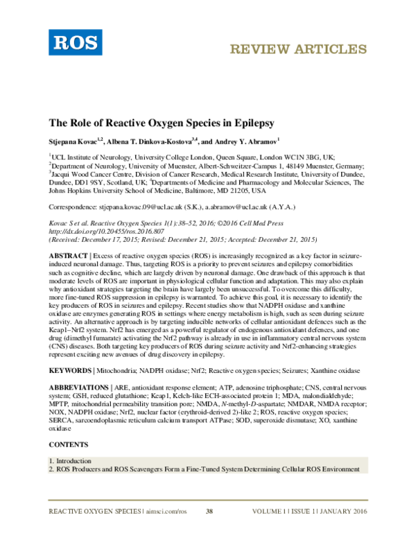 (PDF) The Role of Reactive Oxygen Species in Epilepsy