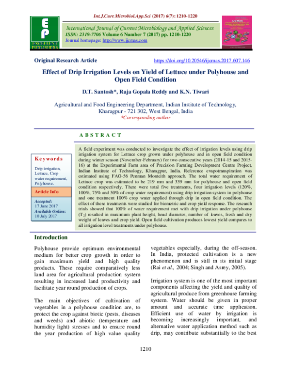 (PDF) Effect of Drip Irrigation Levels on Yield of Lettuce under ...