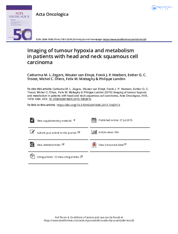 (PDF) Imaging of tumour hypoxia and metabolism in patients with head ...
