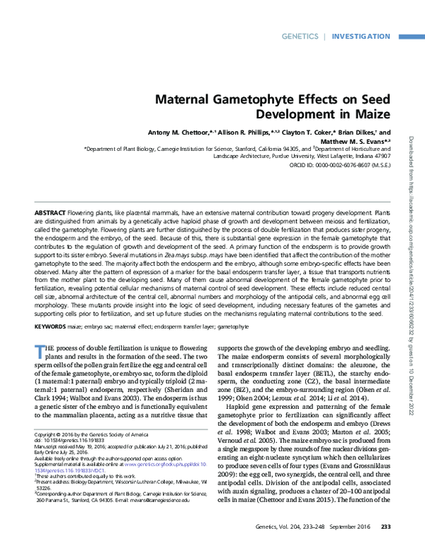 (PDF) Maternal Gametophyte Effects on Seed Development in Maize