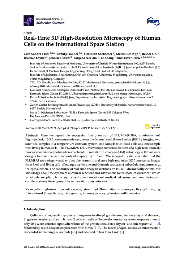 (PDF) Real-Time 3D High-Resolution Microscopy of Human Cells on the ...