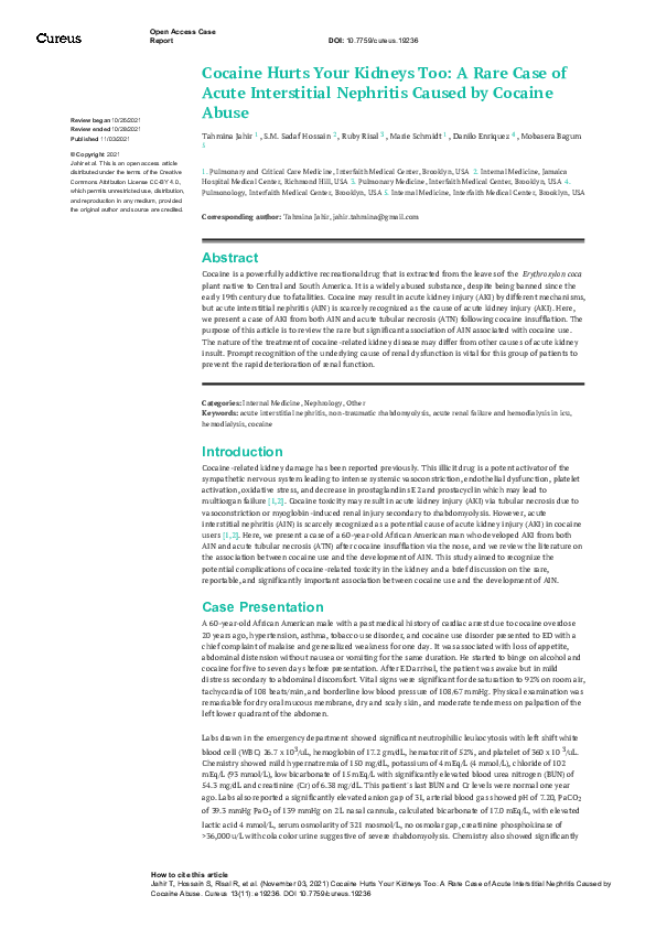 (PDF) Cocaine Hurts Your Kidneys Too A Rare Case of Acute Interstitial