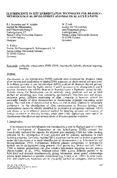 (PDF) Fluorescence in situ hybridization technique for detection for N ...