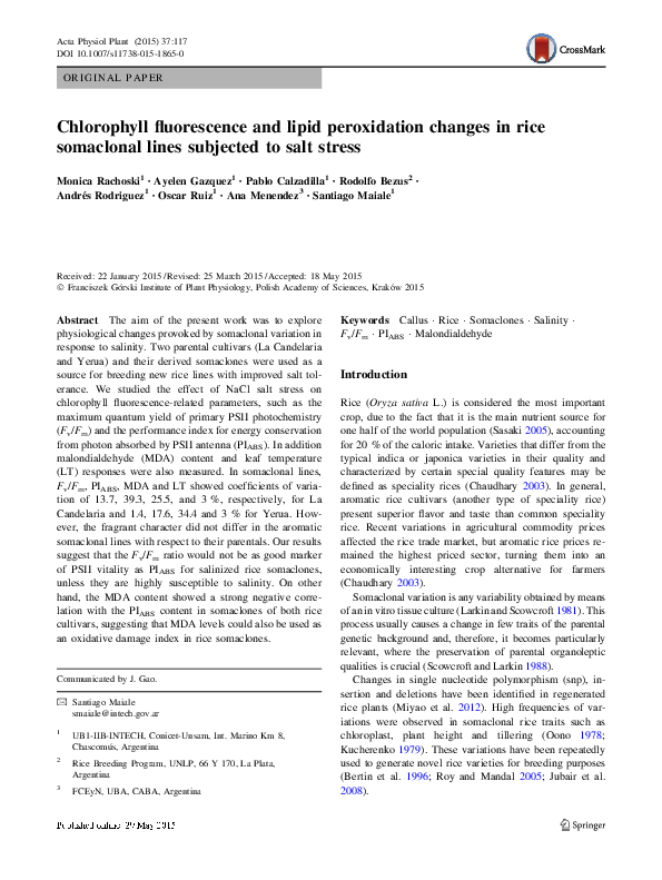 (PDF) Chlorophyll fluorescence and lipid peroxidation changes in rice ...