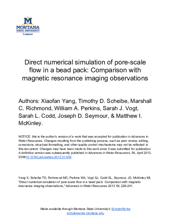 (PDF) Direct numerical simulation of pore-scale flow in a bead pack ...