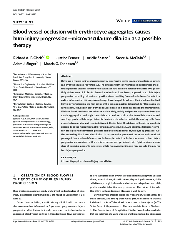 (PDF) Blood vessel occlusion with erythrocyte aggregates causes burn ...