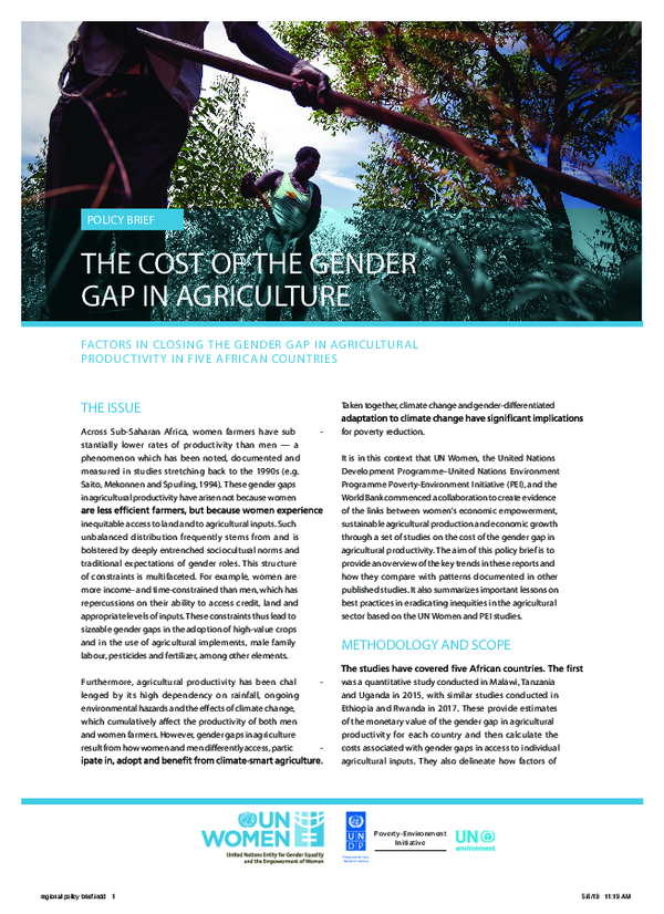 (PDF) The cost of the gender gap in agriculture: factors in closing the ...