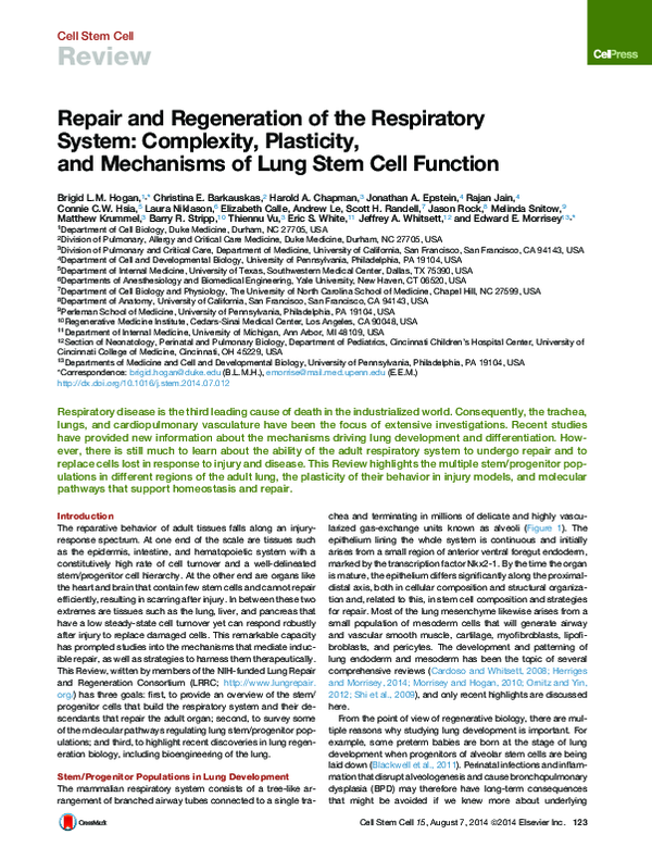 (PDF) Repair and Regeneration of the Respiratory System: Complexity ...