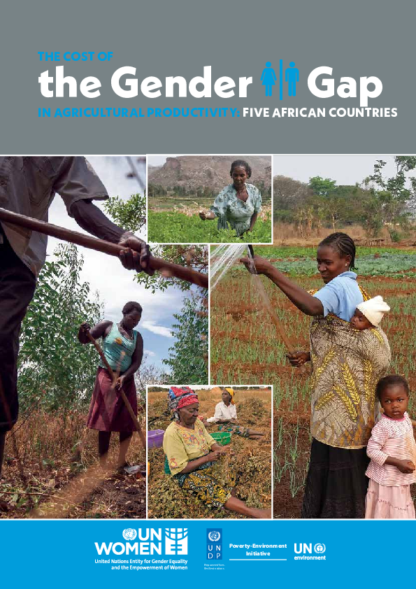 (PDF) The cost of the gender gap in agricultural productivity: five ...