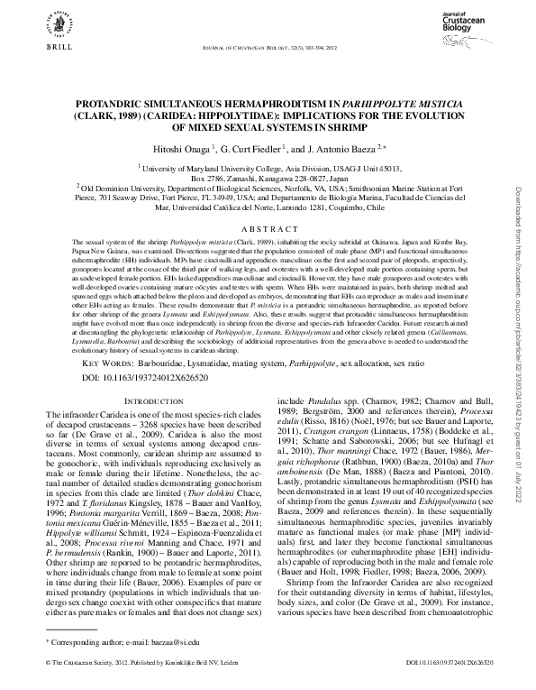 (PDF) Protandric simultaneous hermaphroditism in Parhippolyte misticia ...