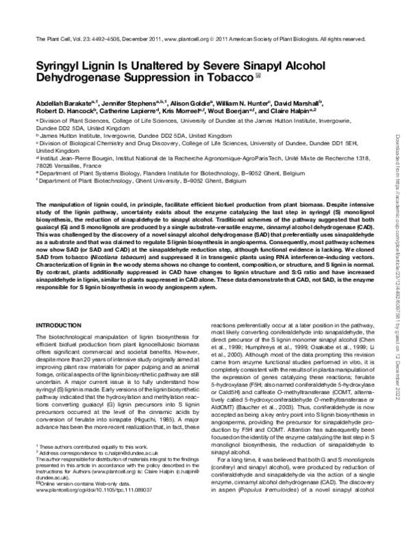 (PDF) Syringyl Lignin Is Unaltered by Severe Sinapyl Alcohol ...