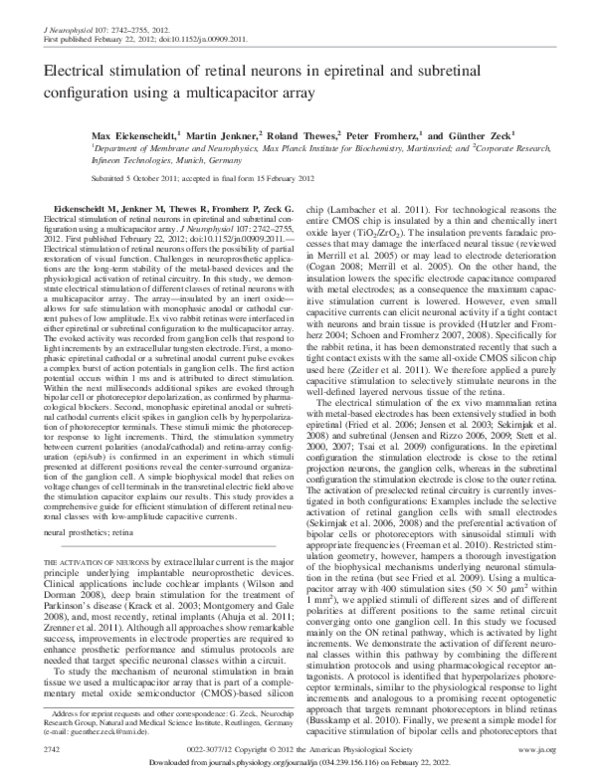 (PDF) Electrical stimulation of retinal neurons in epiretinal and ...