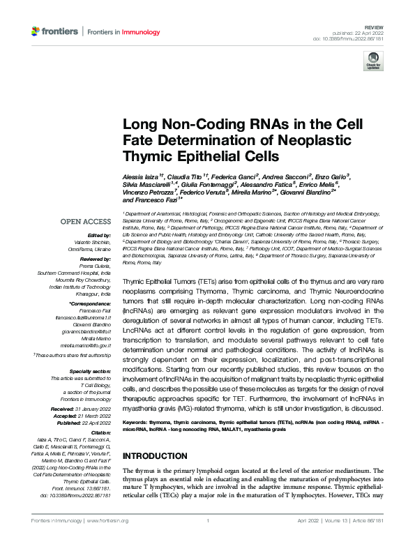 (PDF) Long Non-Coding RNAs in the Cell Fate Determination of Neoplastic ...