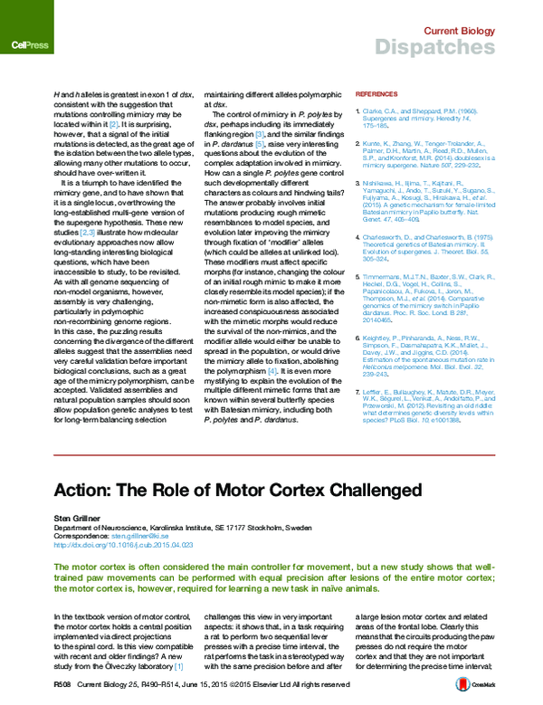 (PDF) Action: The Role of Motor Cortex Challenged