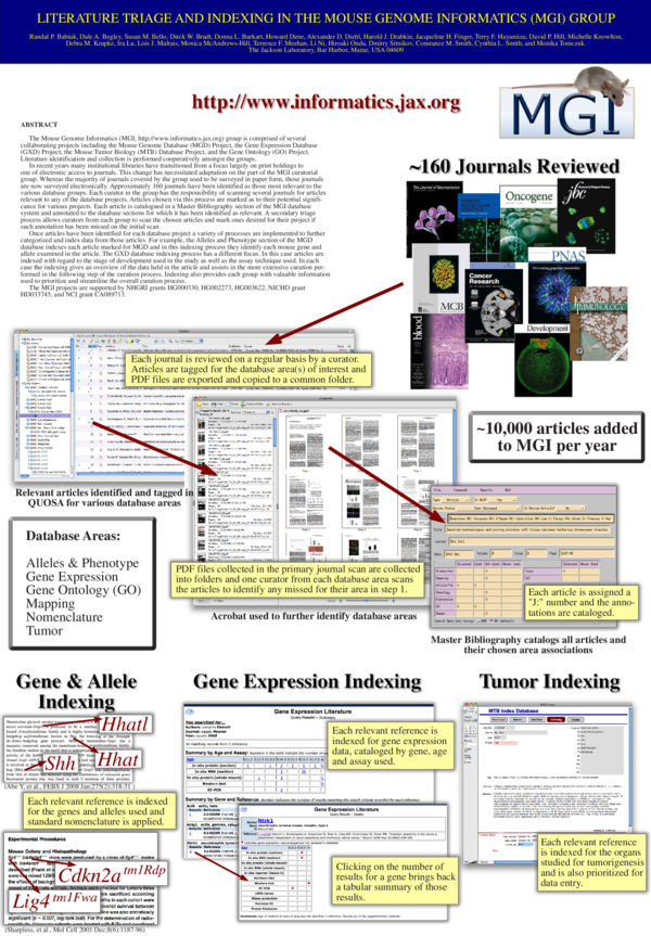 Mouse Genome Informatics Mgi 