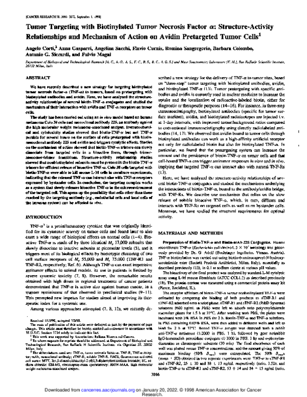 (PDF) Tumor targeting with biotinylated tumor necrosis factor alpha ...
