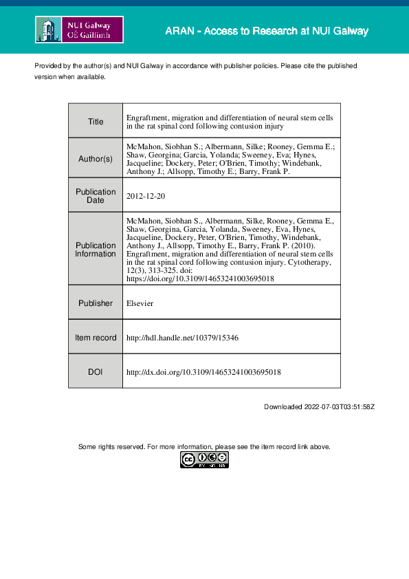 Engraftment, migration and differentiation of neural stem cells in the rat spinal cord following contusion injury