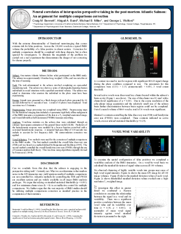 (PDF) Neural correlates of interspecies perspective taking in the post ...