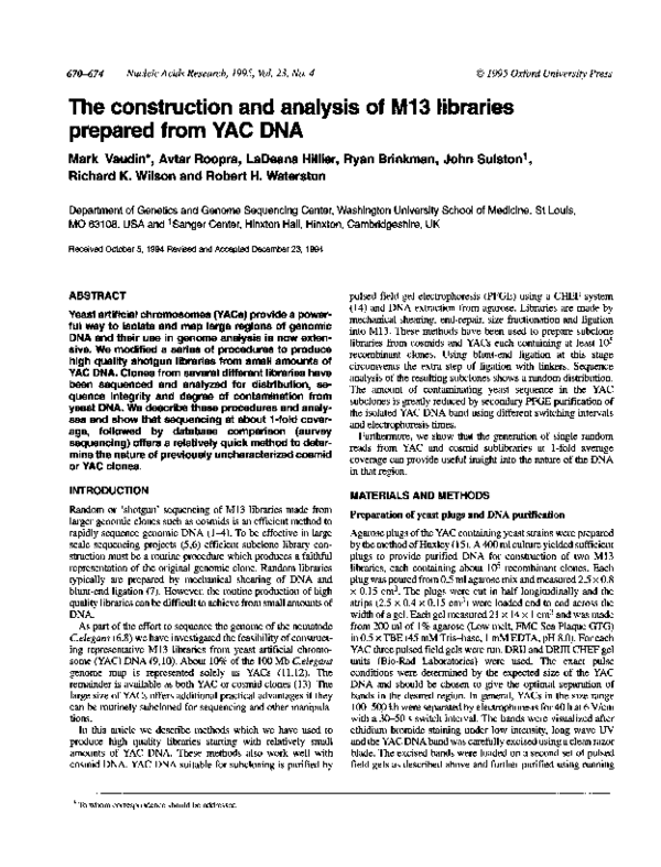 (PDF) The construction and analysis of M13 libraries prepared from YAC DNA