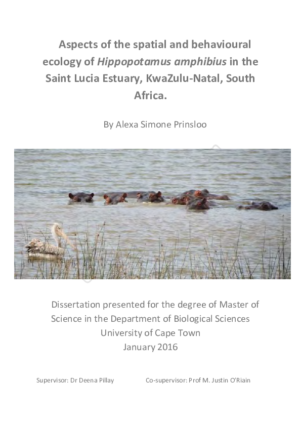 (PDF) Aspects of the spatial and behavioural ecology of Hippopotamus ...