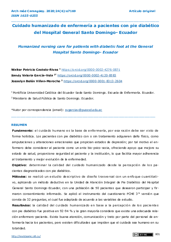 (PDF) Cuidado humanizado de enfermería a pacientes con pie diabético