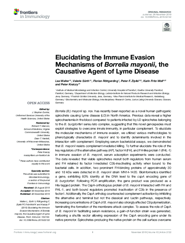 (PDF) Elucidating the Immune Evasion Mechanisms of Borrelia mayonii ...