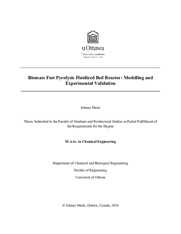 (PDF) Biomass Fast Pyrolysis Fluidized Bed Reactor: Modelling and ...