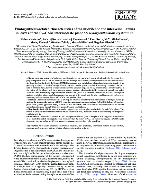 (PDF) Photosynthesis-related characteristics of the midrib and the ...