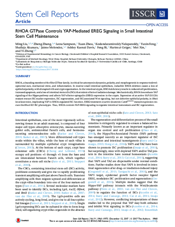 (PDF) RHOA GTPase Controls YAP-Mediated EREG Signaling in Small ...