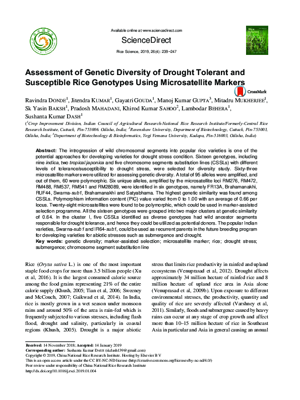 (PDF) Assessment of Genetic Diversity of Drought Tolerant and ...