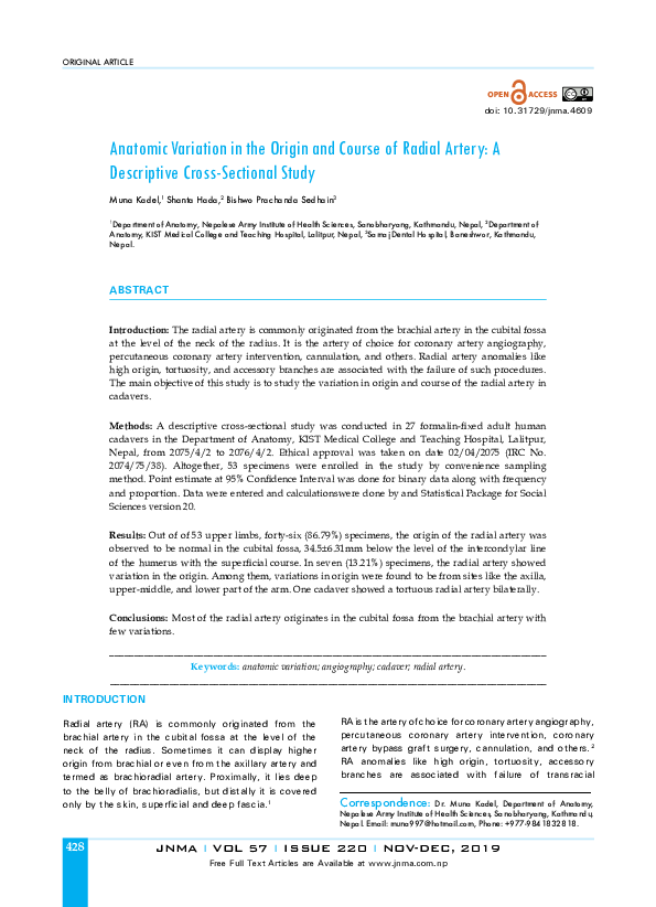 (PDF) Anatomic Variation in the Origin and Course of Radial Artery: A ...